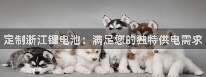 尊龙AG发财网