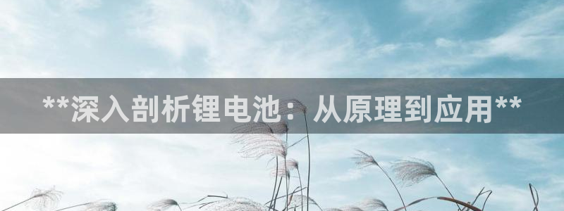 尊龙凯时怎么注销账号
