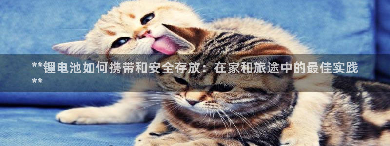 尊龙t300和t400哪个好