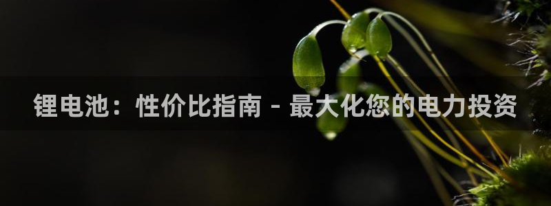 尊龙凯时-人生就是博中国官网