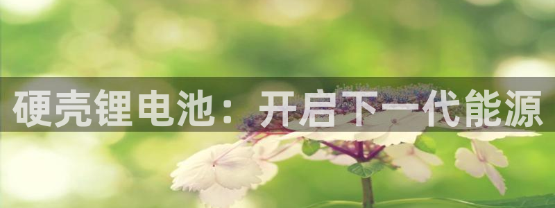 尊龙凯时客服