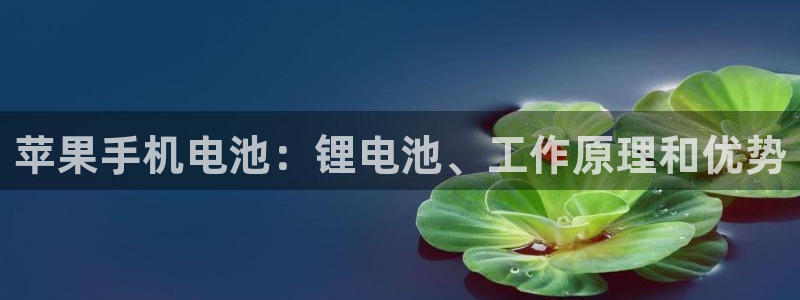 尊龙官网免费下载安装