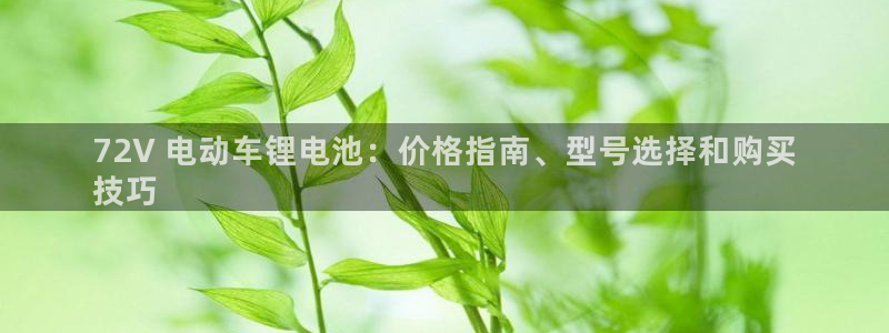 尊龙凯时邀请码