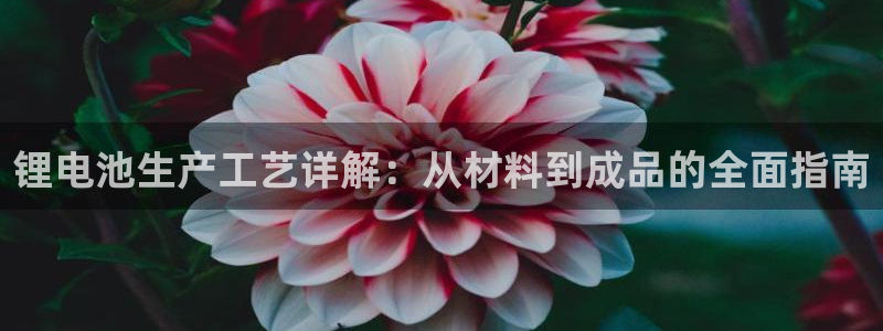尊龙凯时白家乐