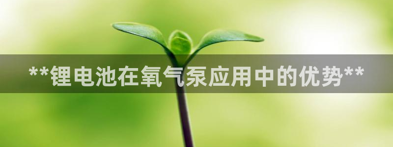 凯时k66会员登录