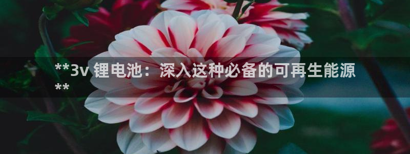 尊龙服饰品牌介绍