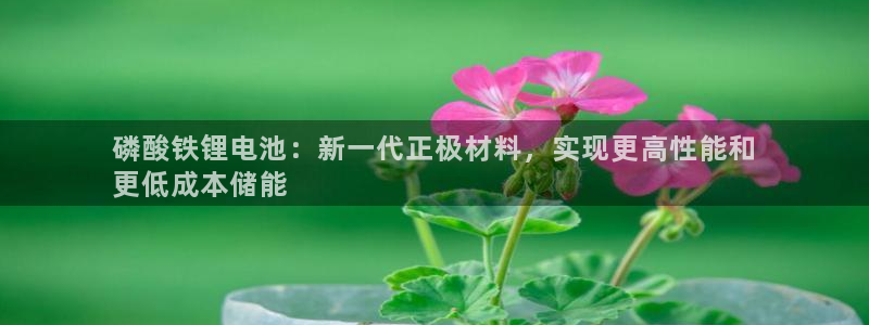 尊龙中国