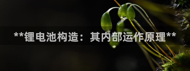 尊龙一生也走不出自己的童年