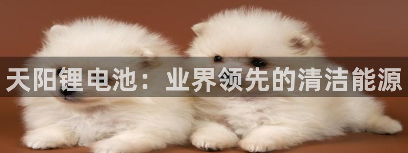 凯时官网联系方式