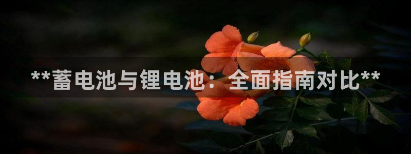 尊龙凯时人生就是博·(中国)官网