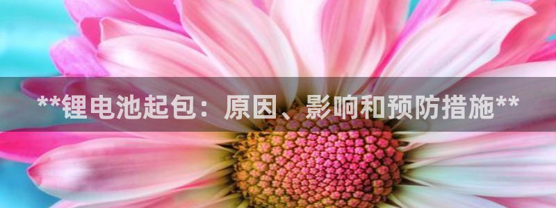 尊龙凯时vip