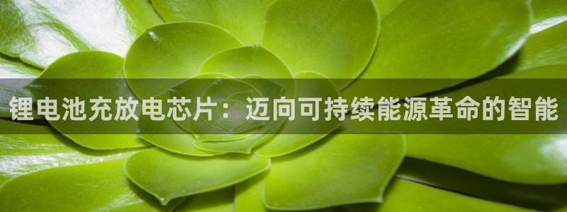 尊龙凯时 人生就是搏!平台