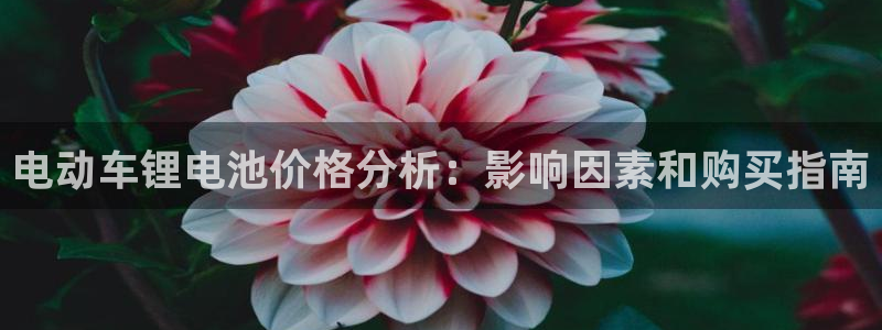 尊龙ag旗舰厅官网·(中国)官方入口