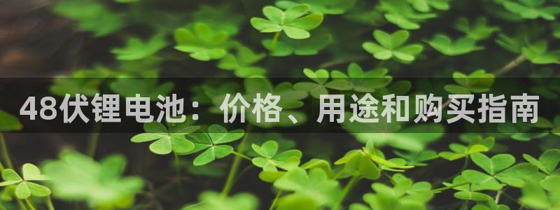 百度一下尊龙