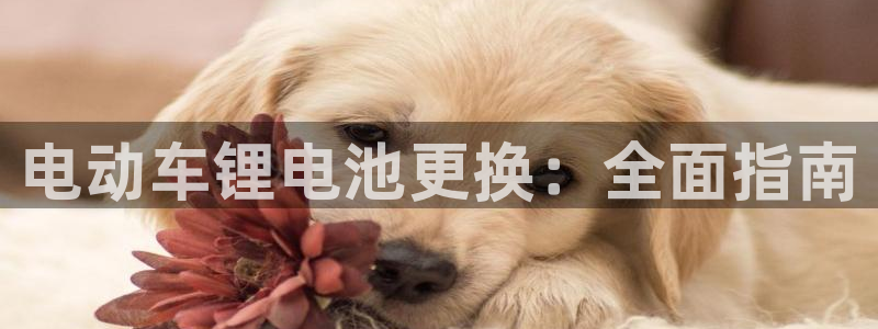 尊龙凯时下载链接