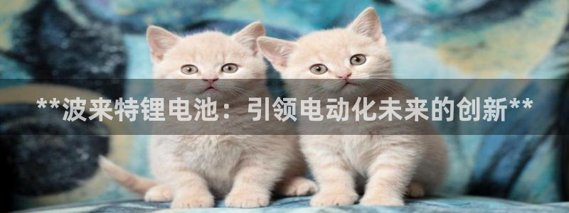 尊龙凯时投诉最狠的方法