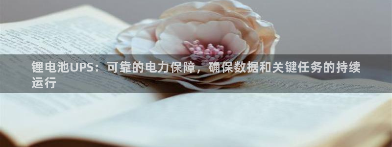 尊龙凯时ag旗舰厅官方网站