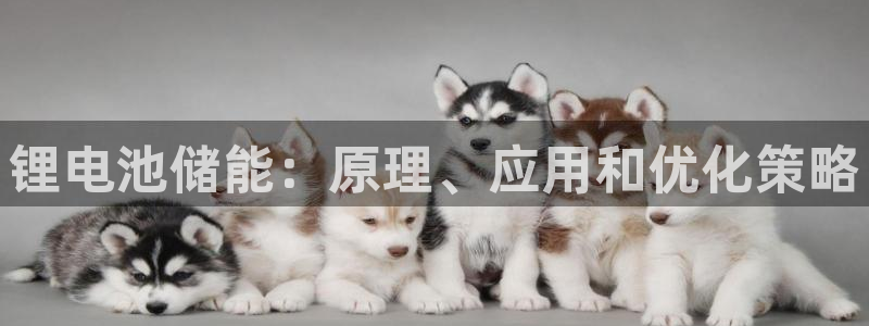 尊龙网站注册站注册