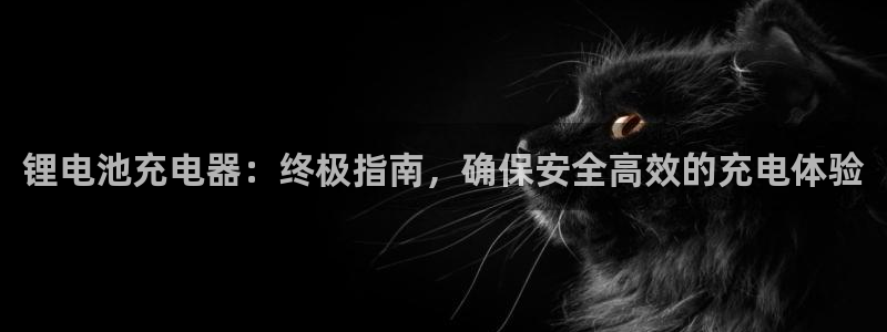 尊龙凯时人生就是搏技术实力