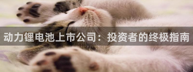 尊龙凯时能提现吗