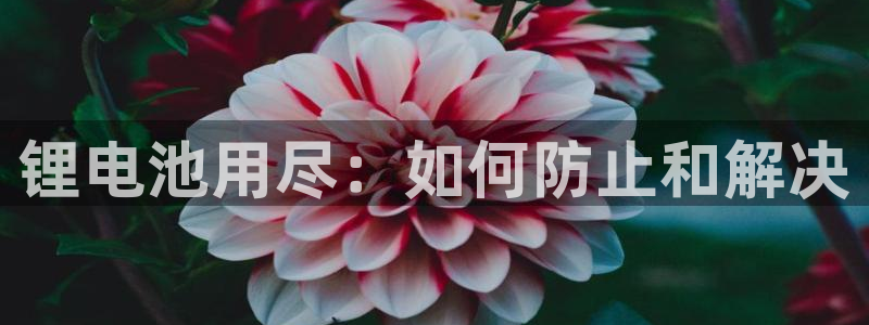 尊龙中国
