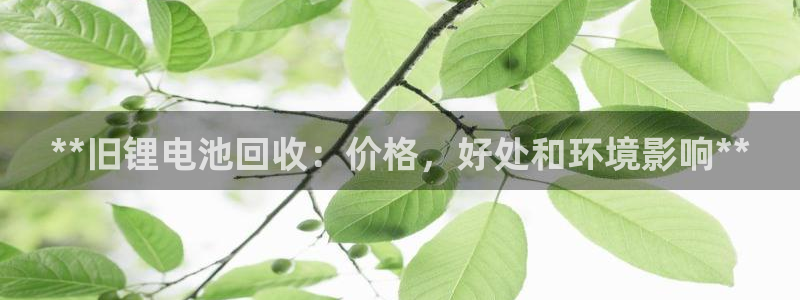 尊龙AG旗舰厅app下载