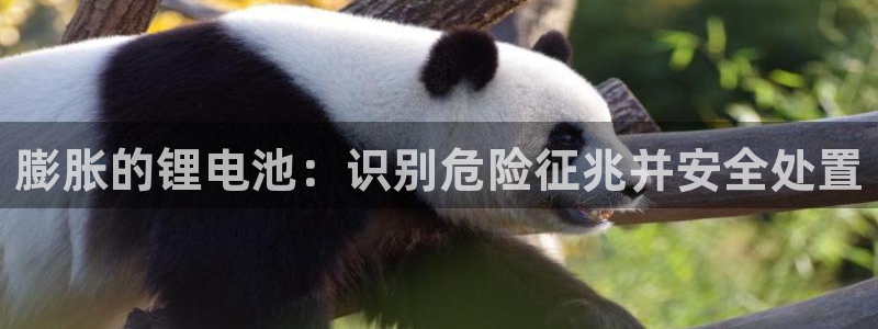尊龙贴吧
