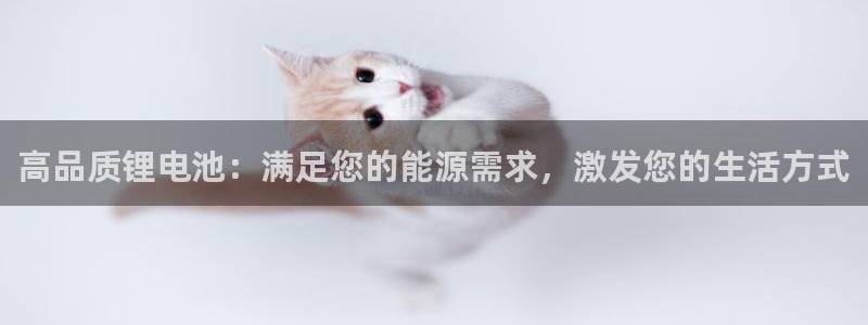 尊龙凯时和九游会哪个平台好一点