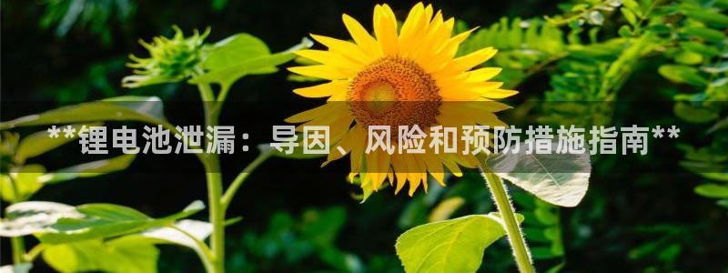 尊龙凯时网站网址