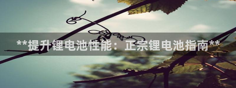 尊龙凯时 人生就是搏!平台