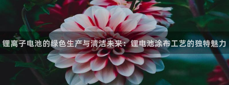 尊龙人生就是博D88