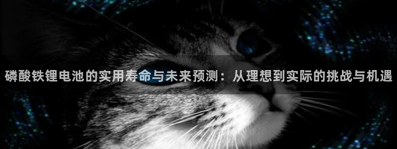 尊龙游戏app官方网站