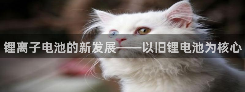 z6尊龙凯时ag旗舰厅