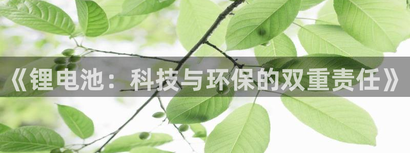 凯时kb88·中国官方网站
