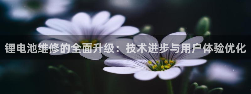 尊龙凯时官网平台