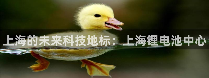 d88尊龙平台开户