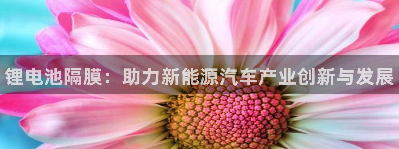 凯时尊龙官网网址