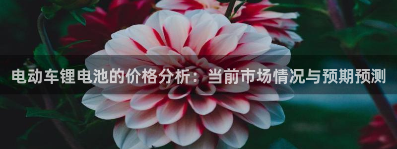 尊龙体育电竞官网