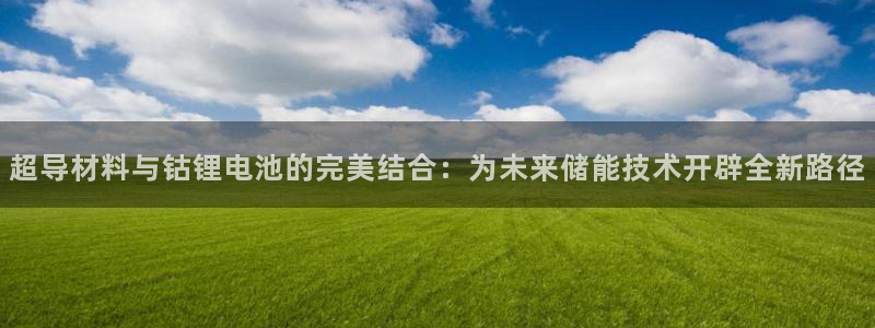 尊龙网址是选访问zd207
