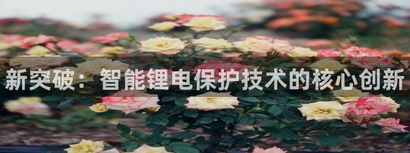 凯时k66登录