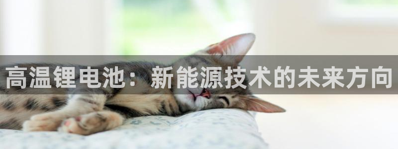 尊龙官网网站