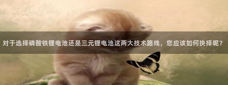 尊龙凯时合法吗?