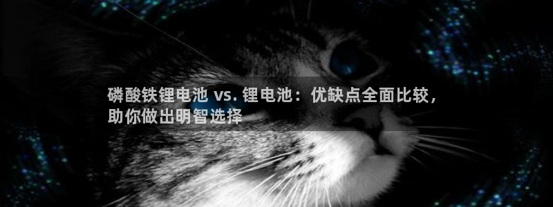 尊龙百度百科：磷酸铁锂电池 vs. 锂电池：优缺点全面比较，
助你做出明智选择
