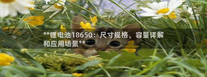 尊龙目前情况：**锂电池18650：尺寸规格、容量详解
和应用场景**