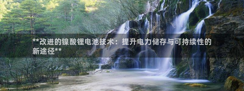 尊龙官方网址：**改进的镍酸锂电池技术：提升电力储存与可持续性的
新途径**