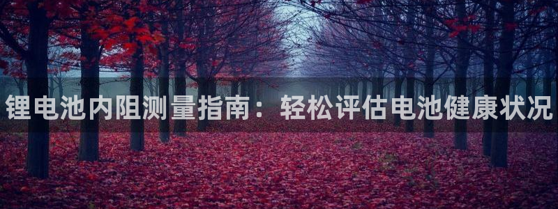 尊龙凯时产品系列：锂电池内阻测量指南：轻松评估电池健康状况