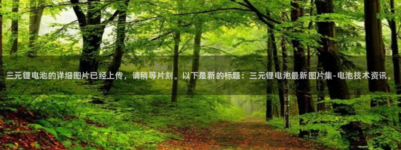 z6尊龙凯时旗
