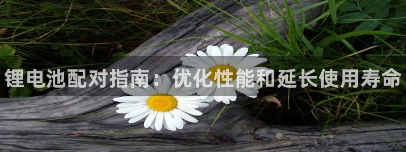 尊龙凯时麻将胡了：锂电池配对指南：优化性能和延长使用寿命