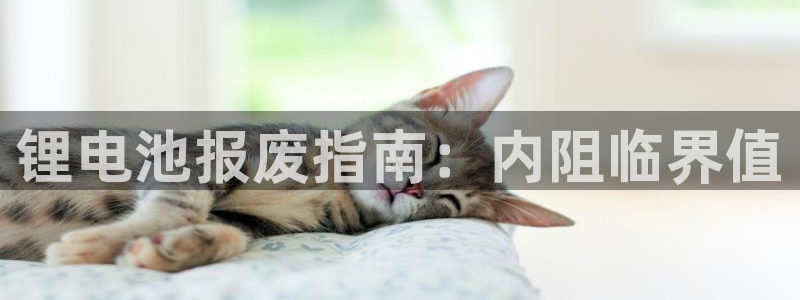 尊龙现金娱乐 下载：锂电池报废指南：内阻临界值