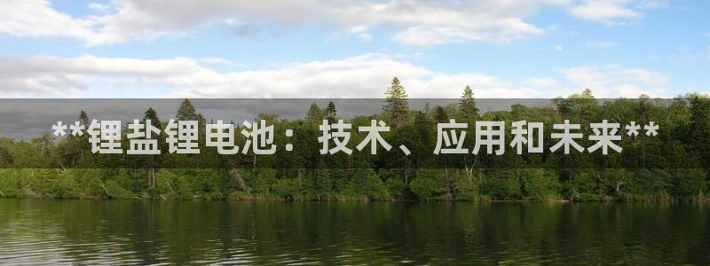 尊龙凯时几百万怎么下：**锂盐锂电池：技术、应用和未来**